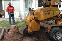 James Roman with Stump Grinder in South Miami